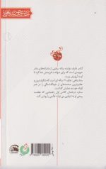 عارف 12 ساله (مادرانه های نوجوان شهید رضا پناهی) - Image 2