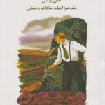 سی و نه پله