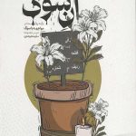 آن سوگ