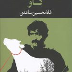 گاو