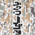 یاران سلیمانی