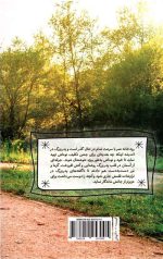 برای پسرم - Image 2