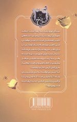 سی و نه سرنخ 4  (آن سوی گور) - Image 2