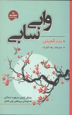 وابی سابی
