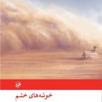 خوشه های خشم