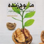 موج زنده: اندیشکده و نقش آن در تعالی خانواده