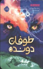 طوفان دونده