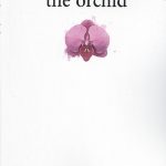 اركيده The orchid