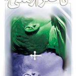 ناصر ارمنی