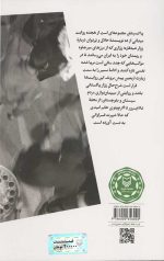 پاک ستان - Image 2
