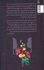 جزیره درختان گمشده - Image 2