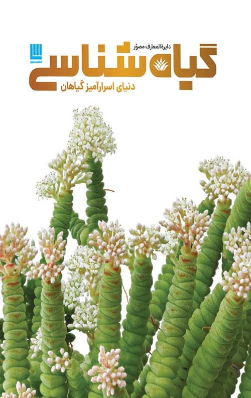 55555-1.jpg دایره المعارف مصور گیاهشناسی - Image 1