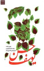 حسن یوسف