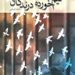 نیم خورده درندگان