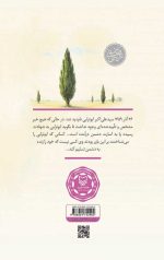 پاسیاد پسر خاک - Image 3