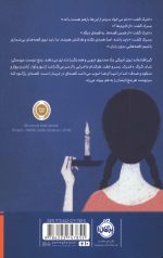 عروسک های جادویی ناخدا - Image 2