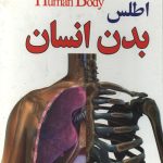 اطلس بدن انسان