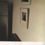 بایگانی کودکان گمشده