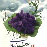 عفاف سرچشمه زیبایی