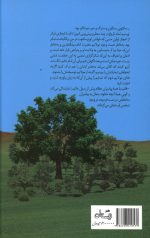 جز چشم سیاه تو - Image 2