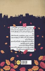 کوچه کاکوتی - Image 2