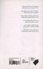 خوب ترین حادثه می دانمت - Image 2