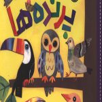 سلام دنیا (پرنده ها)