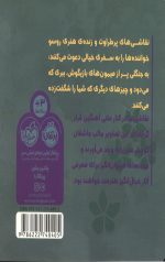 رویا بافی با روسو - Image 2