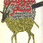 سرزمین شعر (جلد دوم اشعارآزاد)