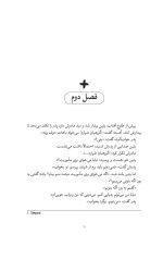 میلیون ها سایه خاکستری - Image 3