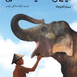 میلیون ها سایه خاکستری