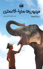 میلیون ها سایه خاکستری