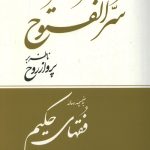 سرالفتوح ناظر بر پرواز از روح