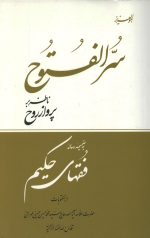 سرالفتوح ناظر بر پرواز از روح