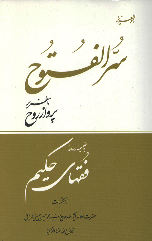 serolfotoh-ro.jpg سرالفتوح ناظر بر پرواز از روح - Image 1